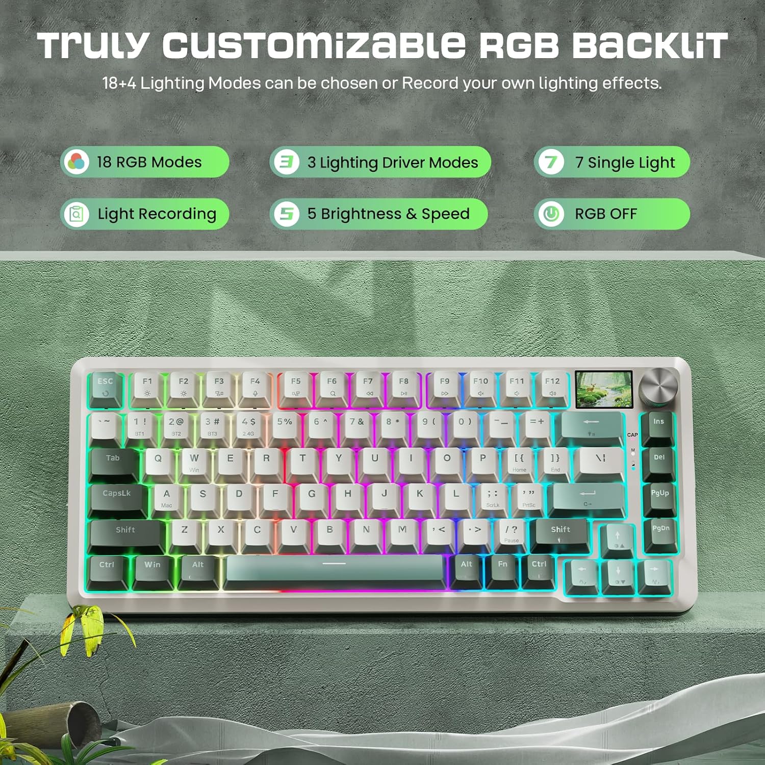 Redragon K708 Pro Wireless Mechanical Gaming Keyboard - Gasket-Mounted RGB Backlit, 81 Customizable Keys, 3-Mode (2.4G/Bluetooth/USB), Hot-Swap Pre-Lubed Switches, Screen & Control Knob - White Green