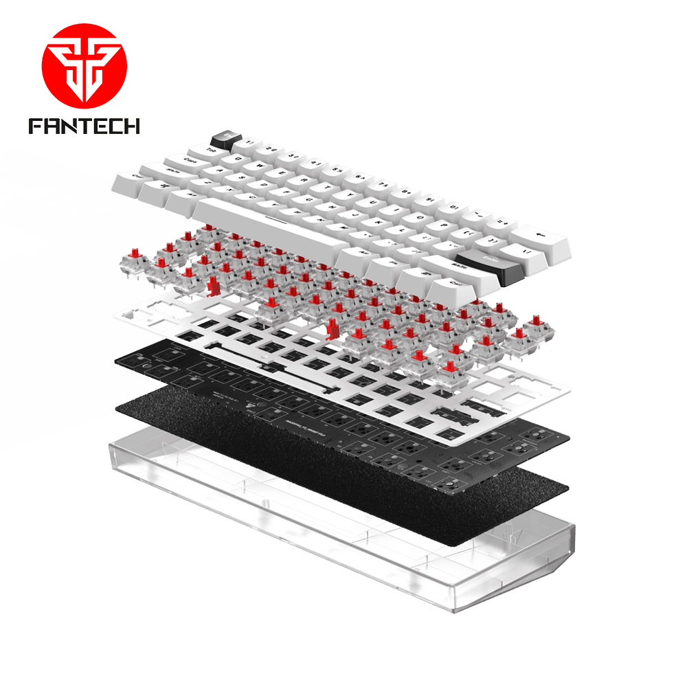 MAXFIT61 FROST WIRELESS MODULAR MECHANICAL KEYBOARD Keyboard