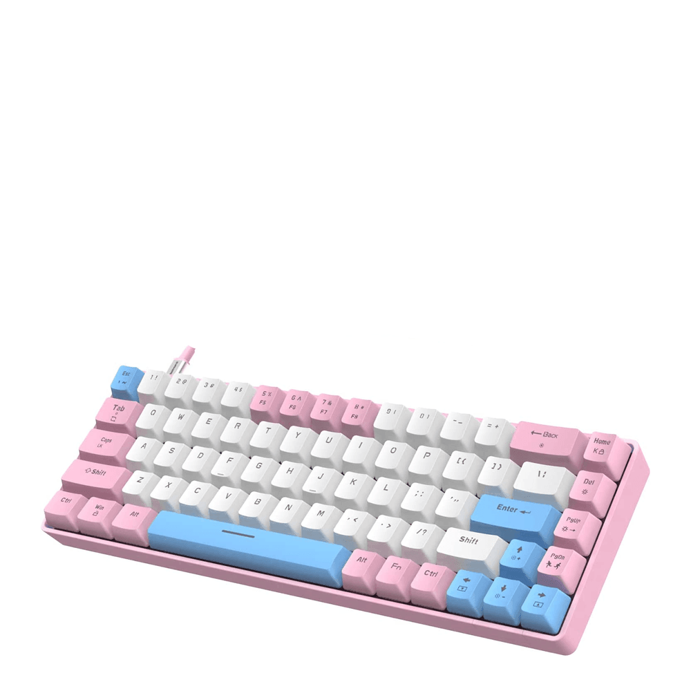 ZIYOU LANG RK T8 Wired 65% Mechanical Gaming Keyboard Keyboard