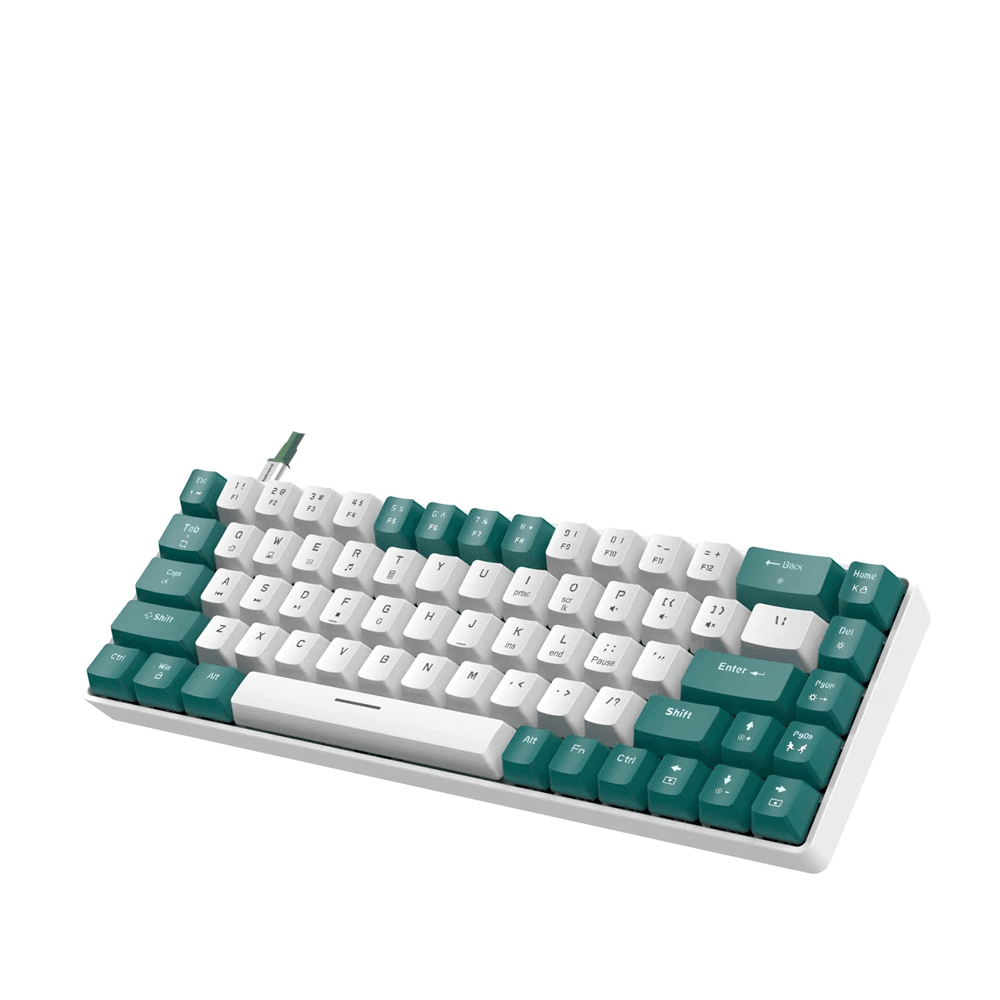 ZIYOU LANG RK T8 Wired 65% Mechanical Gaming Keyboard Keyboard