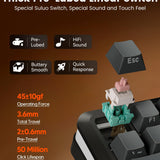 Redragon Wireless Mechanical Keyboard, Gasket RGB Gaming Keyboard with Screen & Knob, 3-Modes (Bluetooth/2.4G/Wired) 81 Custom Keys, Thick Pre-Lubed Linear Switch, Side Printed PBT Keycaps, K708GG-Pro